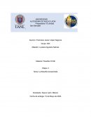 La filosofía renacentista