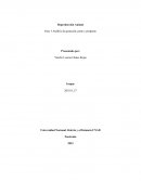 Zootecnia.Analisis de gestacion, parto y postparto