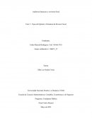 Tipos de Opinión y Dictamen de Revisor Fiscal