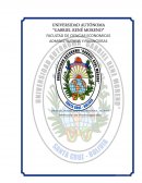 Propuestas de solución a una serie de problemas detectados en la empresa BLESS