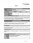 Ejecución de Proyectos Caso de Negocio