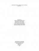 Resistencia en serie, paralelo y serie – paralelo. Práctica 2