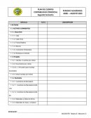 Plan de cuentas Contabilidad comercial