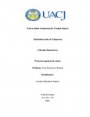 Cálculos financieros . Proyecto agencia de auto