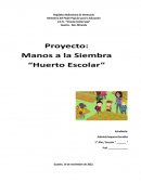 Proyecto Manos a la Siembre: Huerto escolar