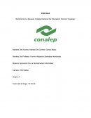 Aplicación De La Normatividad Informática