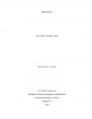 Programa de Hotelería y Turismo