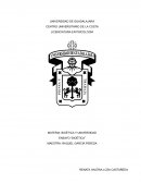 La bioética es la “Ética de vida”