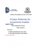 Ensayo Sistemas de ecuaciones lineales