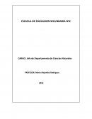 Proyecto Educativo Institucional (PEI)