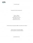 Descripción Caso Práctico Dynashears Inc