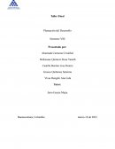 Taller Final Planeación del Desarrollo