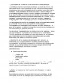 ¿Qué especie de Candida es la más frecuente en causar patología?