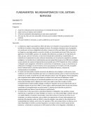 Fundamentos neuroanatómicos y del sistema nervioso