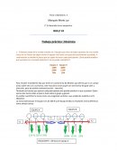 Trabajo práctico: Dinámica