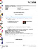 Concepto de empresa y organización