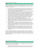 Analisis formal de Neue Nationalgalerie