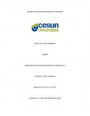 Principios de psicoterapia cognitivo conductual