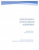 Tipos de datos y estructuras en algoritmos