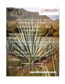 Practica: Informe de observación a espécimen de maguey