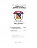 Influencia de la selección de los agregados en las propiedades del concreto en estado fresco y/o endurecido