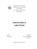 Informe sobre la Labor Social