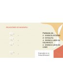 Relaciones de Maxwell