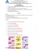 Introducción a la Bacteriología