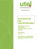 Juicio Oral civil y penal