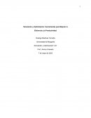 Simulación y Optimización: Herramientas para Mejorar la Eficiencia y la Productividad