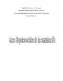 Las bases biopsicosociales de la comunicació