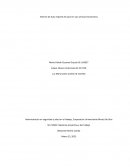 Informe de Auto reporte de salud en Lac servicios financieros