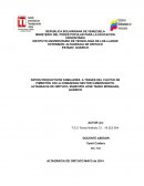 Patios productivos familiares a través del cultivo de pimentón en la Comunidad Sector Camoruquito