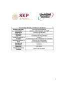 Gestión y Administración de PyME Estudios de Mercado