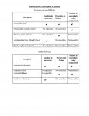 Análisis y descripción de puestos