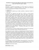 Sistematizar la experiencia agroecológica de la finca bonita en zona rural de los pozos, San Vicente del Caguán -Caquetá