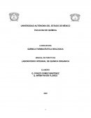 Manual de prácticas. Laboratorio integral de química orgánica
