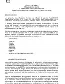 Proyecto “Iluminación cancha de futbol N°2