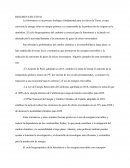 Ciclo biogeoquimico y la fotosintesis