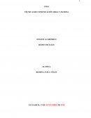 Redes sociales, los aspectos positivos y negativos en los jóvenes