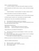 Matrices Unidades estrategicas de negocio