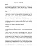 El sector textil y su desarrollo