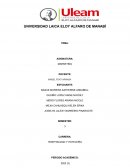 Caso: Frutos del mar