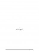 Plan de negocios SoftOne