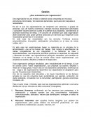 Gestión ¿Que entendemos por organización?