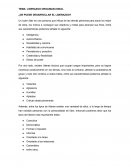 Liderazgo organizacional ¿Se puede desarrollar el liderazgo?