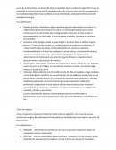 Trabajo práctico organización industrial