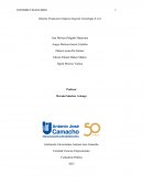 Informe Financiero Empresa Segcom Tecnología S.A.S