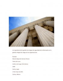 Análisis de riesgos informáticos. Página 1
