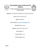 Reporte película "Margin Call"